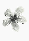 Hibiscus Flower art print